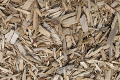 biomass boilers Barcaldine
